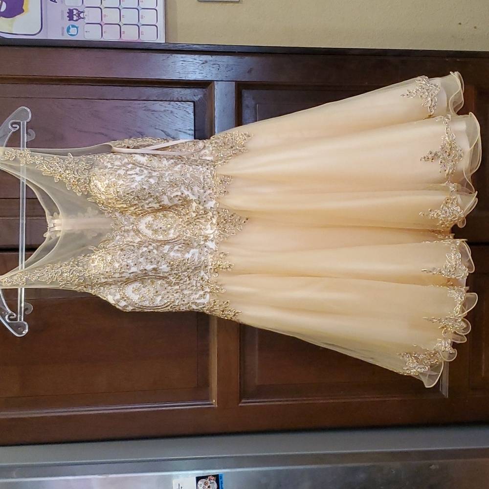 Damas gold dress